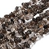 Natural Smoky Quartz Chips Beads Strands F037-2