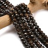 Natural Bronzite Beads Strands G-Z111-A25-1