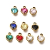304 Stainless Steel with Rhinestone Pendants STAS-Q346-01G-1