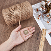 100M Jute Twisted Cord OCOR-WH0078-470B-3