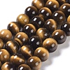 Natural Tiger Eye Round Bead Strands G-L411-07-6mm-1