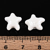 Handmade Porcelain Beads PORC-Q002-03B-01-4