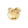 304 Stainless Steel Pendants STAS-F327-02B-G-1