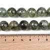 Natural Prehnite Beads Strands G-P322-48-12mm-7