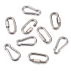 304 Stainless Steel Rock Climbing Carabiners and Screw Carabiner Lock Charms STAS-TA0004-62P-2