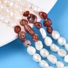 Natural Red Agate Nuggets & Natural Cultured Freshwater Pearl Beads Strands PEAR-N023-01A-02-1