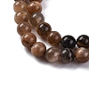 Natural Black Moonstone Beads Strands G-A219-A01-02-8