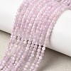 Natural Kunzite Beads Strands G-P603-C-2mm-05-1