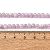 Natural Kunzite Beads Strands G-P587-C01-01-5