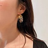 Retro Alloy Resin U-Shaped Hoop Earrings FS-WG1DDE7-01-1