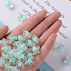 Transparent Acrylic Beads TACR-S152-02A-SS2111-5