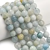 Natural Aquamarine Beads Strands G-L642-F05-10mm-1