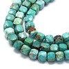 Natural HuBei Turquoise Beads Strands G-G106-G01-01-3