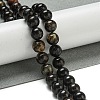 Natural Phlogopite Beads Strands G-P546-A01-03-1
