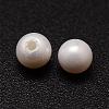 Shell Pearl Beads BSHE-L031-01-3mm-2