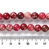 Dyed Natural Regalite/Imperial Jasper/Sea Sediment Jasper Beads Strands G-B124-C01-13-5