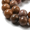 Natural Petrified Wood Round Bead Strands G-F266-08-12mm-5