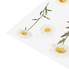Flower Pattern Waterproof Self Adhesive Hot Stamping Stickers DIY-I063-03-4