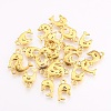 Tibetan Style Alloy Pendants X-GLF1389Y-NF-2