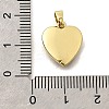 Brass Pendants KK-V007-011G-01-3
