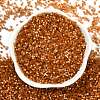 Imitation Cat Eyes Glass Seed Beads SEED-H003-03Z-3