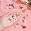 12Pcs 6 Styles Natural Mixed Gemstone Chip Heart Glass Bottle Pendants PALLOY-UN00001-5