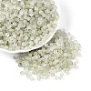 Frosted Glass Seed Beads SEED-N012-01E-1