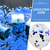 100G PE Paillette/Sequin Confetti DIY-SP0005-41B-6