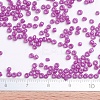Baking Paint Glass Seed Beads SEED-S001-K21-4