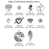 100pcs 10 Style Tibetan Style Alloy Charms TIBEP-CJ0001-37-2