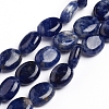 Natural Sodalite Beads Strands G-E560-L01-1
