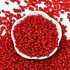Transparent Colours Glass Seed Beads SEED-R001-01I-3