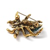 Holloween Spider Alloy Rhinestone Brooches JEWB-S023-02D-2
