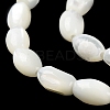 Natural Trochus Shell Beads Strands BSHE-E030-02A-4