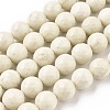 Natural Fossil Round Bead Strands G-O151-02-10mm-1