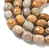 Natural Fossil Coral Beads Strands G-C038-02T-6