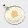 Alloy Resin Pendants RESI-S321-07-1