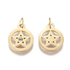 316 Surgical Stainless Steel Charms STAS-L242-04G-2