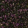 Spray Painted Glass Seed Beads SEED-F005-07A-05-3