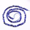 Natural Sodalite Beads Strands X-G-G545-16-2