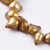 Natural Baroque Pearl Keshi Pearl Beads Strands BSHE-P026-32-3