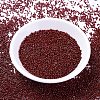 MIYUKI Delica Beads SEED-MY11-DB2120-2