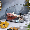 Coffin Brass Glass Decoration Box AJEW-WH0816-068-4