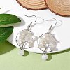 Natural Gemstone Dangle Earrings EJEW-JE05747-4
