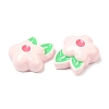 Opaque Resin Fruit Cabochons LS-RESI-G072-02G-2