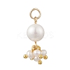 Potato Natural Cultured Freshwater Pearl Pendants PALLOY-JF04749-03-1