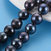 Natural Keshi Pearl Beads Strands PEAR-S020-L06-1