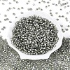 Silver Lined Glass Seed Beads SEED-T007-18A-03-2