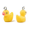 Flocky Resin Pendants X-RESI-N032-02A-1