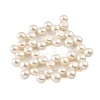 Natural Cultured Freshwater Pearl Beads Strands PEAR-A006-21-3